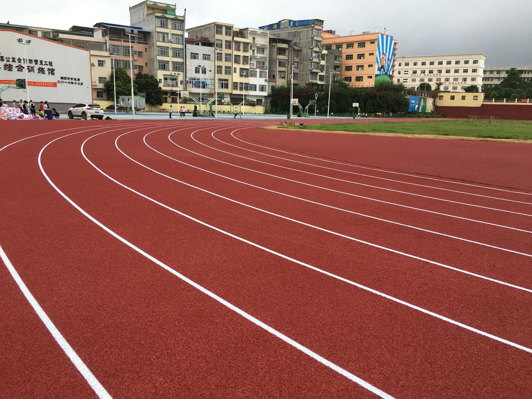 榆林市学校塑胶跑道塑胶跑道材料 - 推荐